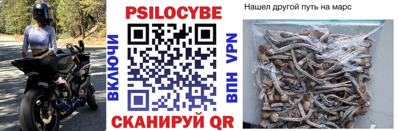 Псилоцибиновые грибы мухоморы  Бийск 
